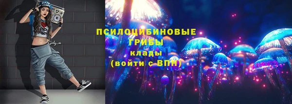 героин Алексин