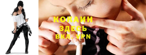 гидра Абаза